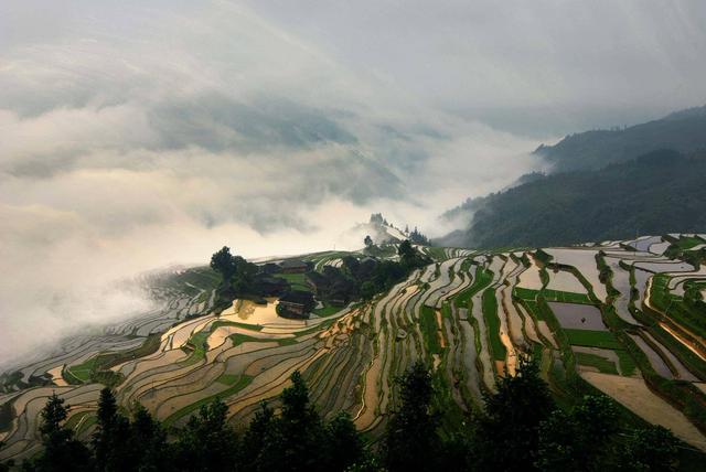 区块链技术的多重应用场景：除虚拟货币之外的发展潜力_应用区块链技术_区块链技术虚拟币