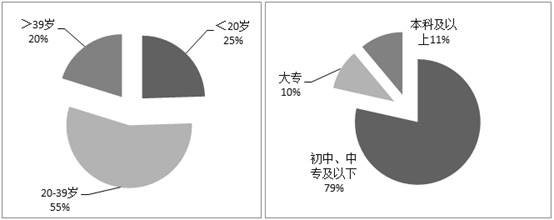 研究数字货币对消费者行为的转变：从传统支付到虚拟资产的影响_货币的虚拟化过程_货币的虚拟化