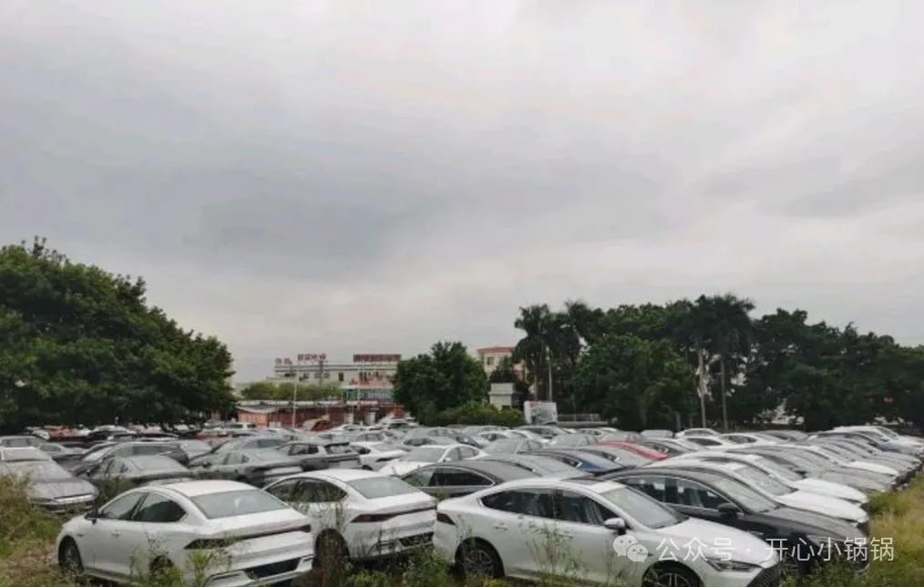 比亚迪海鸥新能源汽车_解析比亚迪海鸥的产品定位_海鸥比亚迪解析定位产品是什么