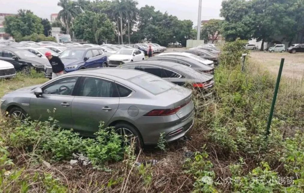 比亚迪海鸥新能源汽车_解析比亚迪海鸥的产品定位_海鸥比亚迪解析定位产品是什么